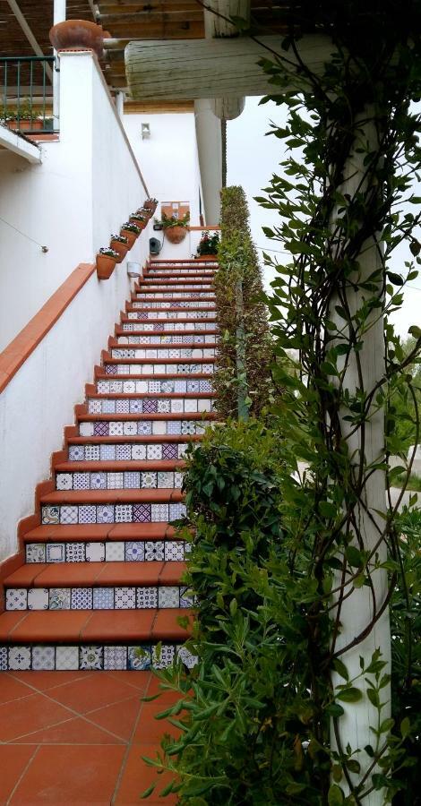 סן פליצ׳ה צ׳ירצ׳או Circeea Beach B&B מראה חיצוני תמונה